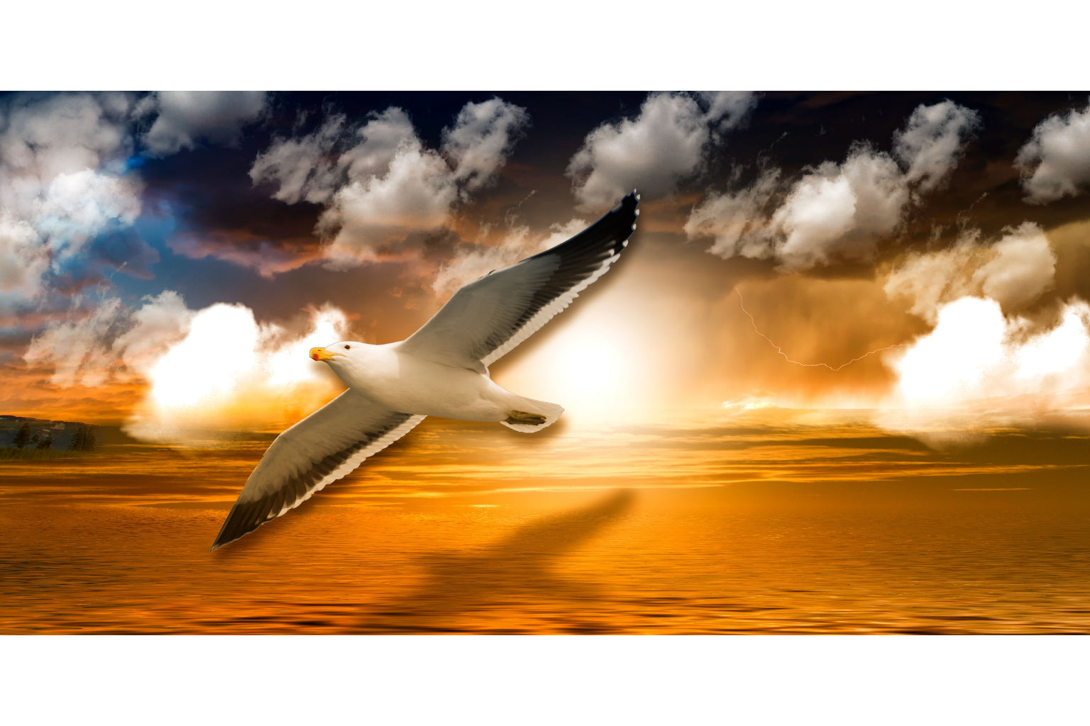 Seagull Bird Yellow Sunset Canvas Art Wall Picture Or Gloss Print