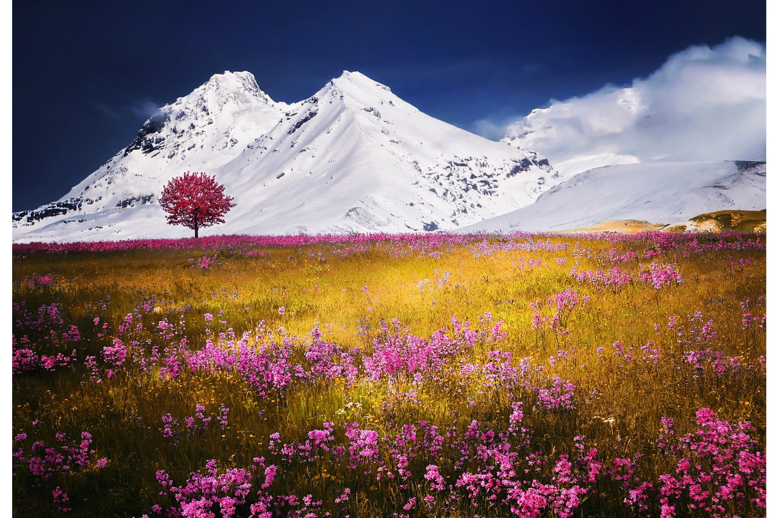 Snow Mountain Pink Flower Field Landscape Canvas Art Wall Picture Or Gloss Print