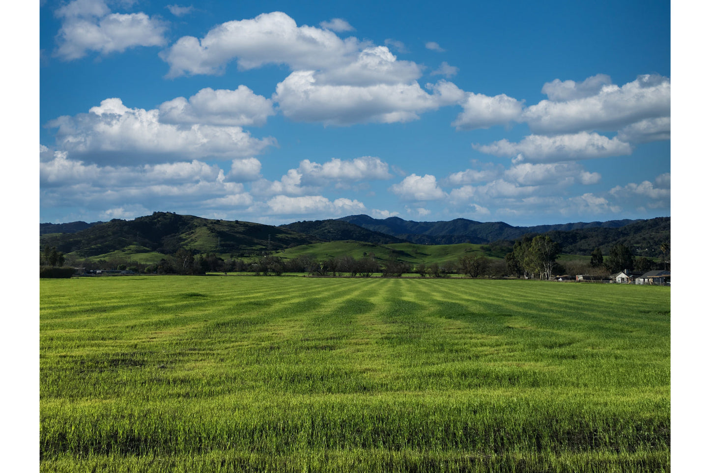 Spring Green Field Landscape Blue Clouds Canvas Art Wall Picture Or Gloss Print