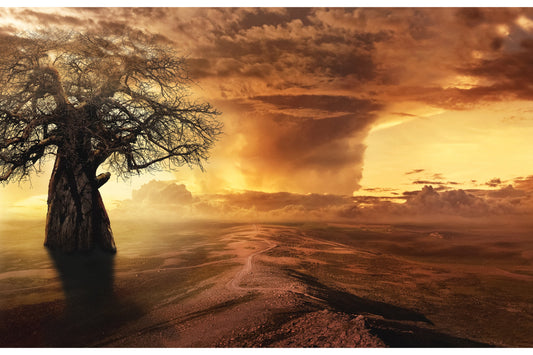 Storm On Horizon Tree Landscape Cream Brown Canvas Art Wall Picture Or Gloss Print