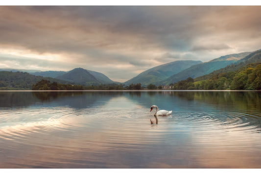 Swan Lake Landscape Mountains Canvas Art Wall Picture Or Gloss Print