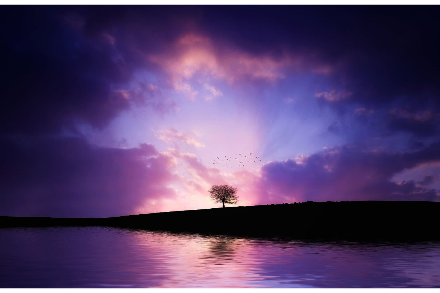 Tree Lake Sunset Purple Reflection Sunrise Canvas Art Wall Picture Or Gloss Print