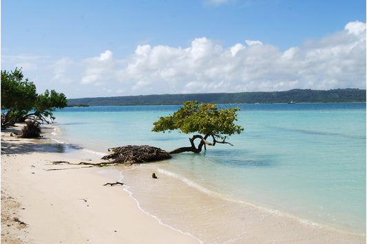 Tropical Blue Sea Beach Landscape Canvas Art Wall Picture Or Gloss Print