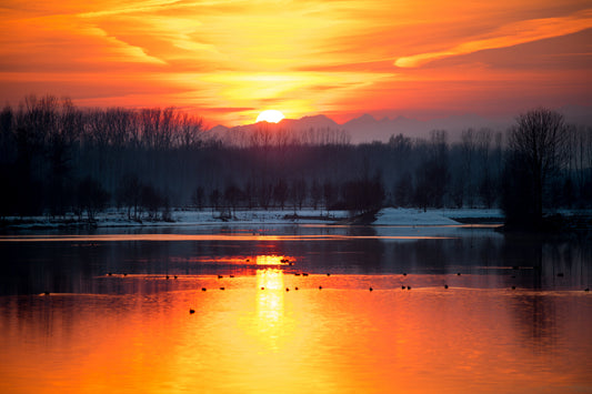 Water Trees Sunset Sunrise Orange Canvas Art Wall Picture Or Gloss Print