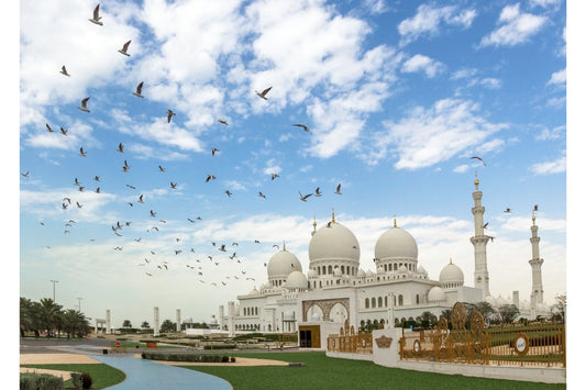 White Mosque Birds In Sky Canvas Art Wall Picture Or Gloss Print