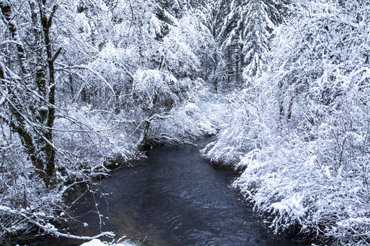 White Winter Snow Trees Forest Woods River Canvas Art Wall Picture Or Gloss Print