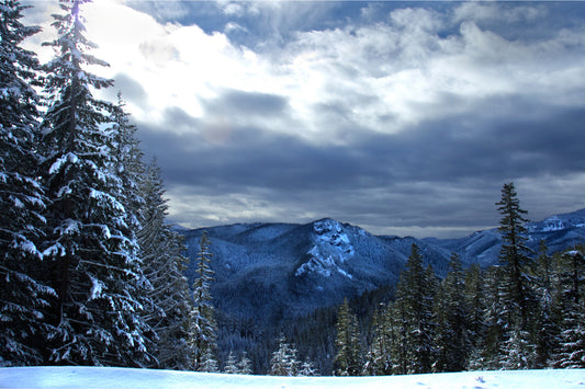 Winter Snow Forest Woods Trees Mountain Canvas Art Wall Picture Or Gloss Print