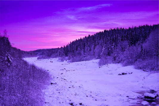 Winter Trees Sunset Purple Pink Sunrise Snow Canvas Art Wall Picture