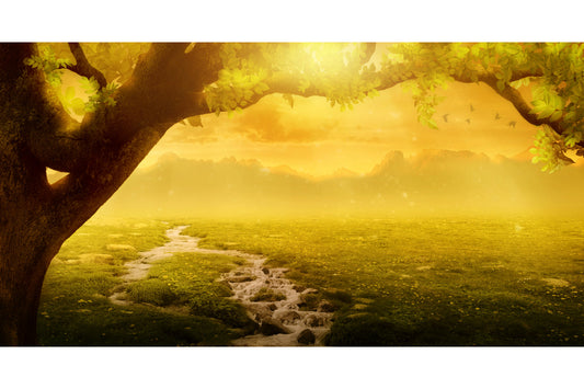 Yellow Green Fantasy Landscape Sunset Canvas Art Wall Picture Or Gloss Print