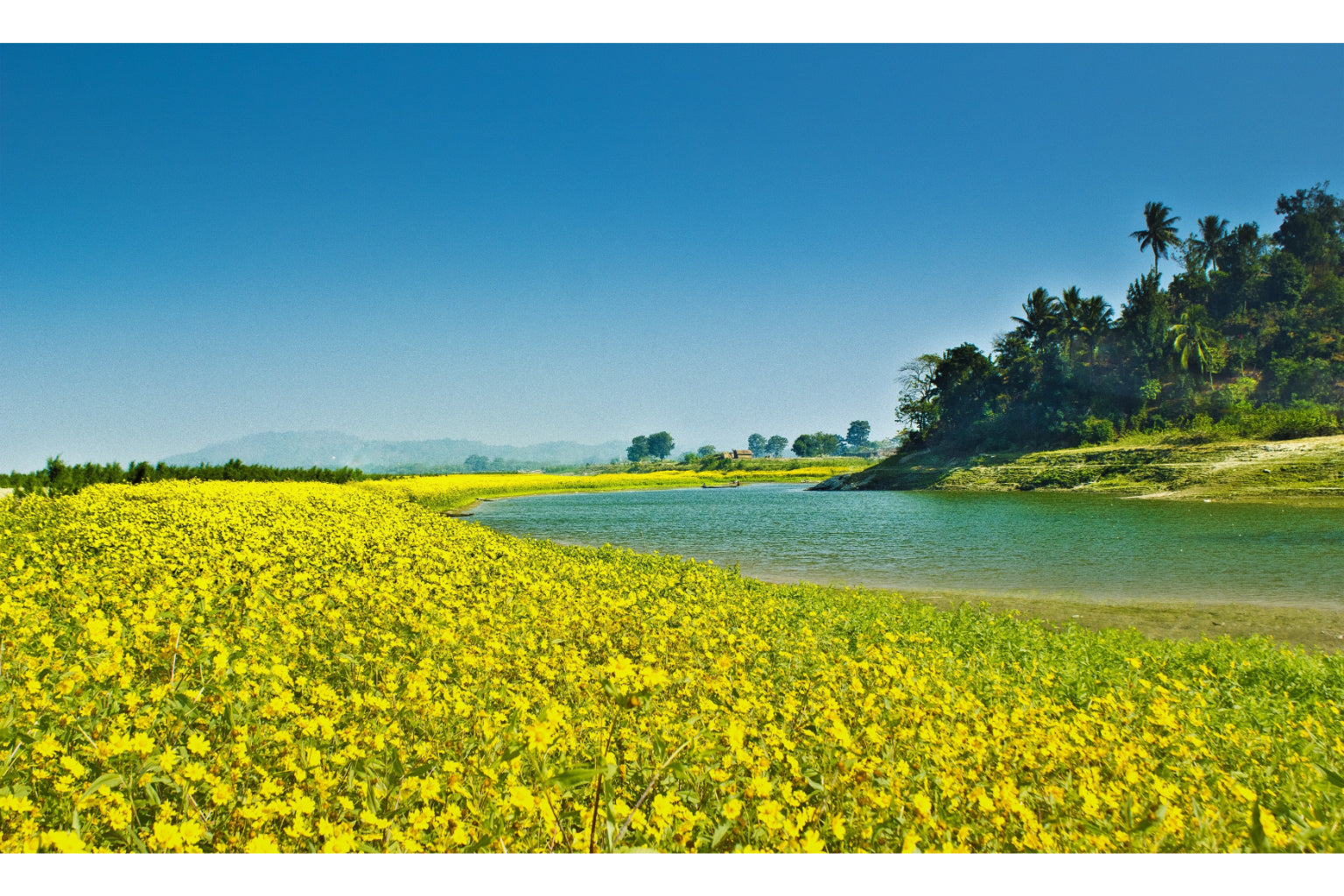 Yellow Green Tropical River Landscape Canvas Art Wall Picture Or Gloss Print